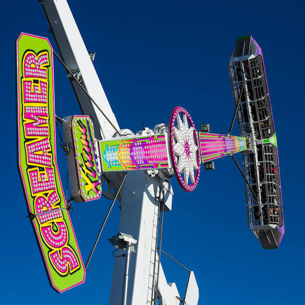 Gallery South State Fair